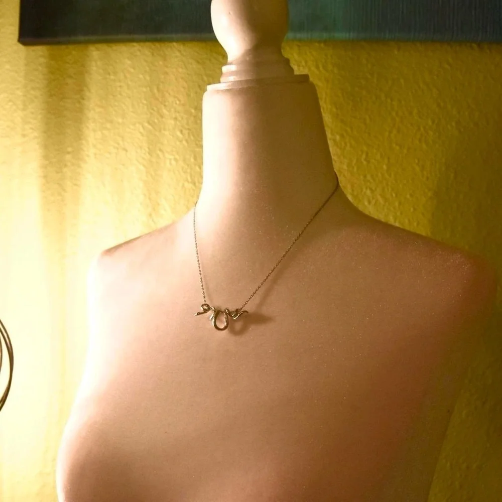 Wrap Around Silver Snake Necklace